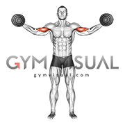 Dumbbell High Curl