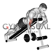 Dumbbell One Arm Reverse Spider Curl
