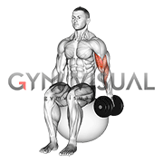 Dumbbell One Arm Seated Bicep Curl on Exercise Ball