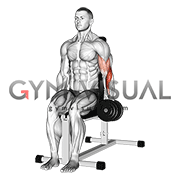 Dumbbell One Arm Seated Hammer Curl