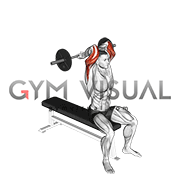 Barbell Seated Close grip Behind Neck Triceps Extension