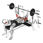 Barbell Pin Presses