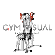 Dumbbells Seated Triceps Extension