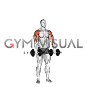 Dumbbell Cuban Press (version 2)