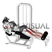 ArtStation - Leg-Pull-In female exercise fitness illustrated GIF