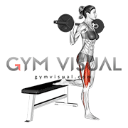 Barbell Single Leg Split Squat (female)