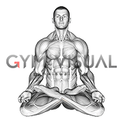 Full Lotus Yoga Pose
