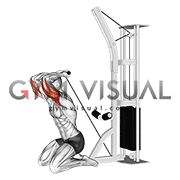 Cable Kneeling Triceps Extension (VERSION 2)