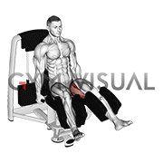 Lever Seated Hip Abduction (VERSION 2)