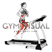 Run on Treadmill (female)
