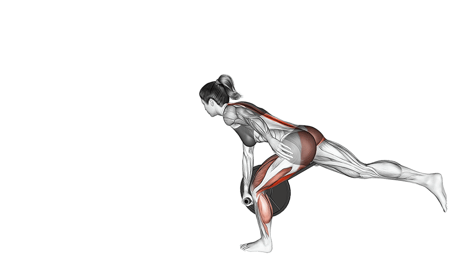 Illustrations and videos about anatomy of exercises - Gym visual